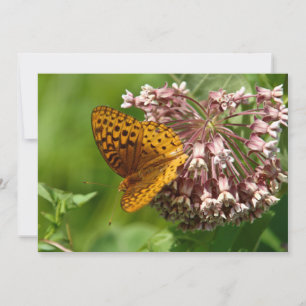 Mariposa En Una Lechuga - Tarjeta De Saludo Plana