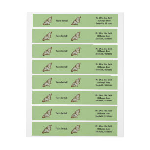 Mariposa exótica de Santa Lucía