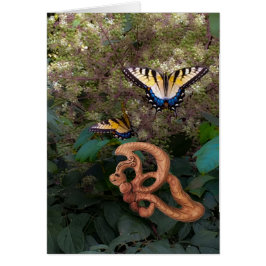 Mariposa-Felicidad en la transformación