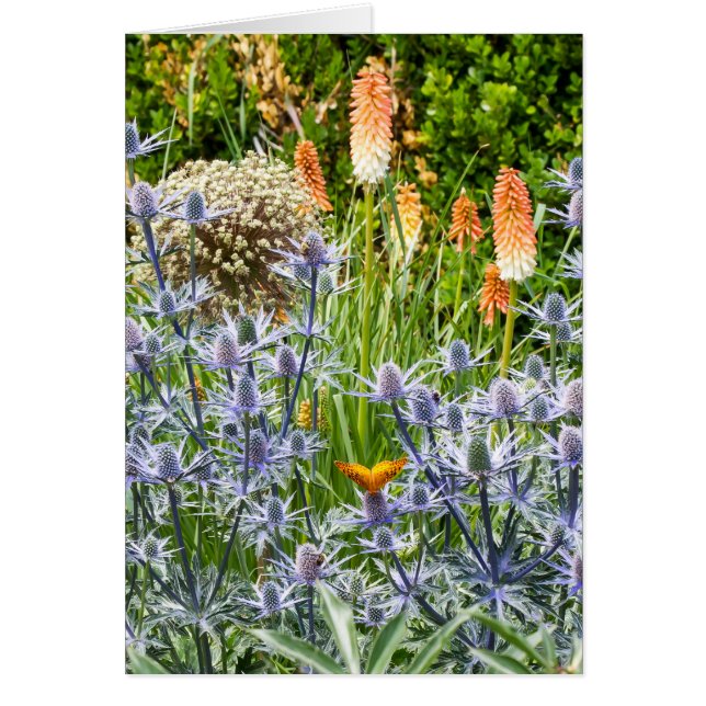 Mariposa Fritillana En Un Jardín De Verano (Frente)