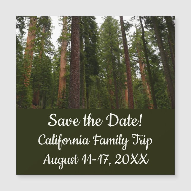 Mariposa Grove en el Parque Nacional Yosemite (Anverso)