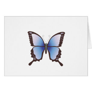 Mariposa: Ilustracion del vector: