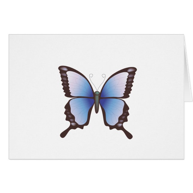 Mariposa: Ilustracion del vector: (Anverso (Horizontal))