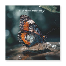 Mariposa Inspiradora Día Nuevo Brillante Personali