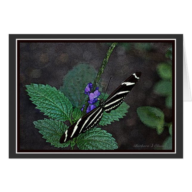 Mariposa larga de la cebra del ala (Anverso (Horizontal))