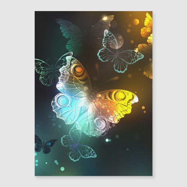 Mariposa luminosa y mariposas nocturnas (Anverso)