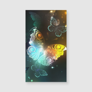 Mariposa luminosa y mariposas nocturnas