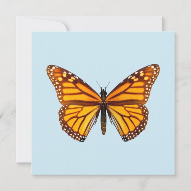 Mariposa Monarca (Anverso)