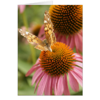 Mariposa monarca