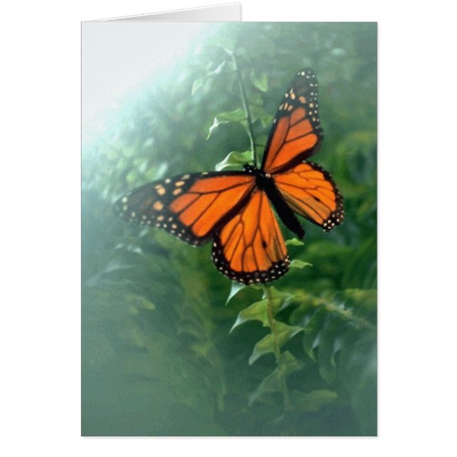 Mariposa monarca (2) (Frente)