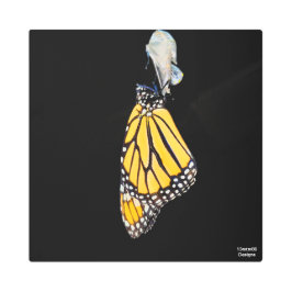 Mariposa monarca 2022 - Impresión Metalizado