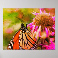 Mariposa Monarca En Arte Con Flores En Problemas