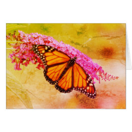 Mariposa monarca en Buda