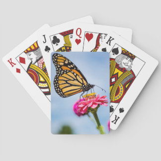 Mariposa monarca en cartas de juego