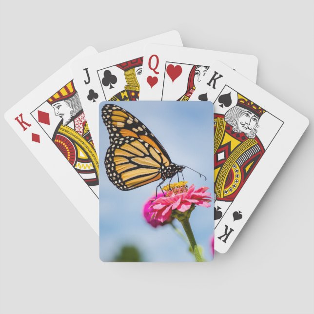 Mariposa monarca en cartas de juego (Reverso)