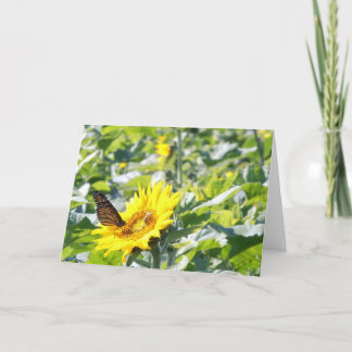 Mariposa monarca en tarjeta de nota de girasol