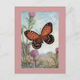 Mariposa Monarca en Tarjeta Postal de Trébol Púrpu