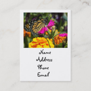 Mariposa monarca en tarjetas de comercio de marisc