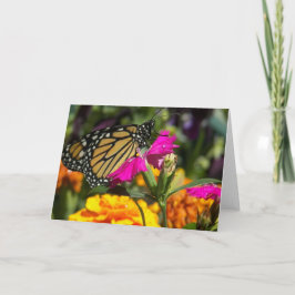 Mariposa monarca en tarjetas rosadas de saludo de 