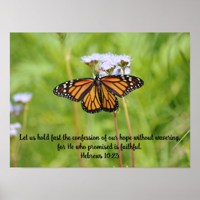 Mariposa Monarca Grande en Arte Poster Wildflowers (Frente)