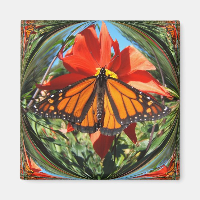 Mariposa monarca ~ imán (Frente)