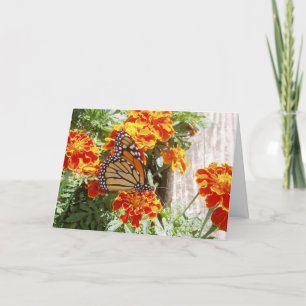 "Mariposa monarca", mejor tarjeta #1