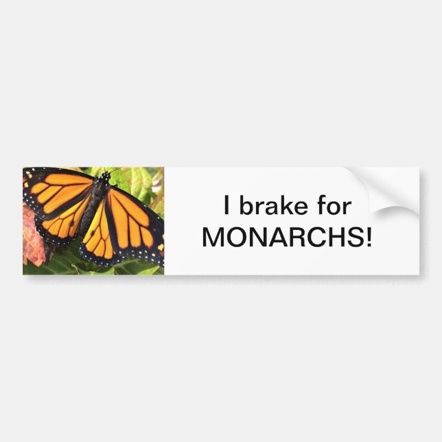 Mariposa monarca - Pegatina del parachoques (Frente)