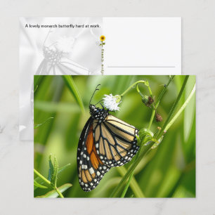 Mariposa monarca - postal