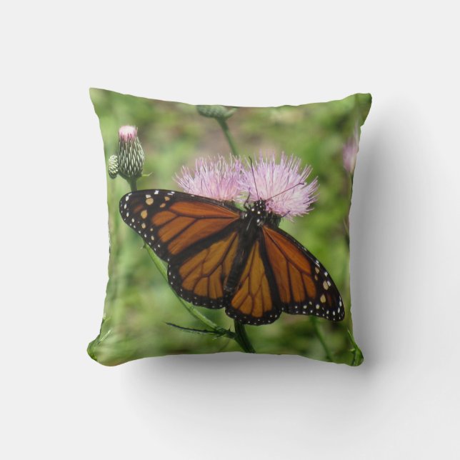 Mariposa monarca sobre la almohada de guiño rosado (Anverso)