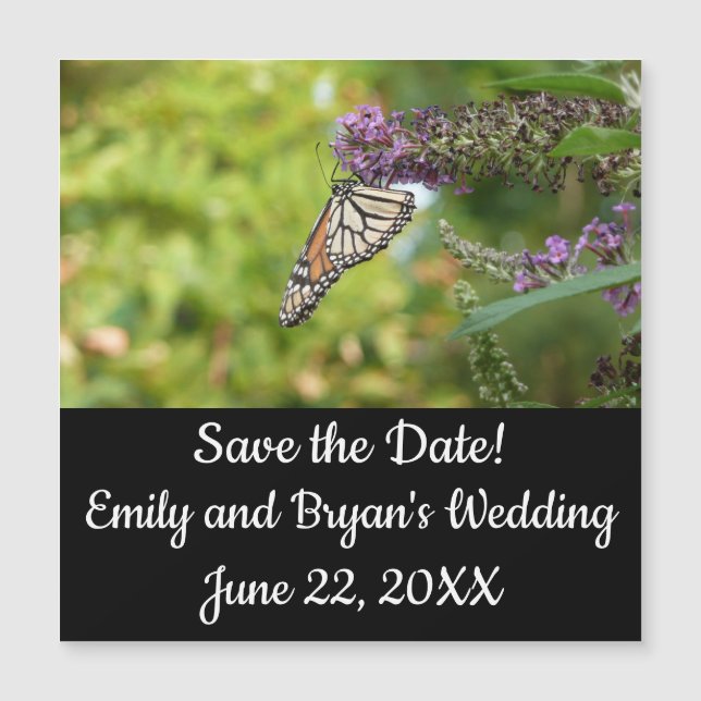 Mariposa monarca sobre mariposa morada Bush (Anverso)