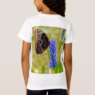 Mariposa morfo azul en una camiseta de orquídea pa
