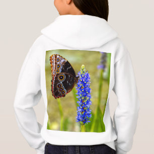 Mariposa morfo azul en una camiseta de orquídea pa