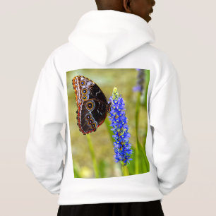 Mariposa morfo azul en una camiseta de orquídea pa