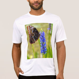 Mariposa morfo azul en una camiseta de orquídea pa