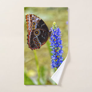 Mariposa morfo azul en una orquídea de mariscos