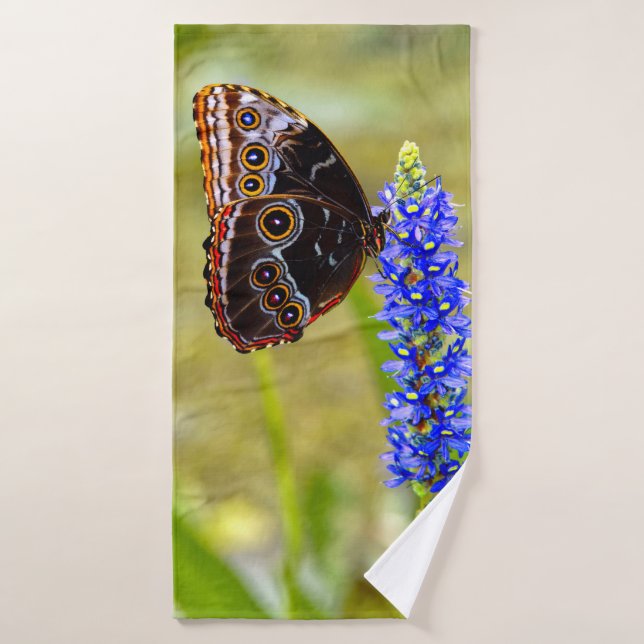 Mariposa morfo azul en una orquídea de mariscos (Toalla de baño)