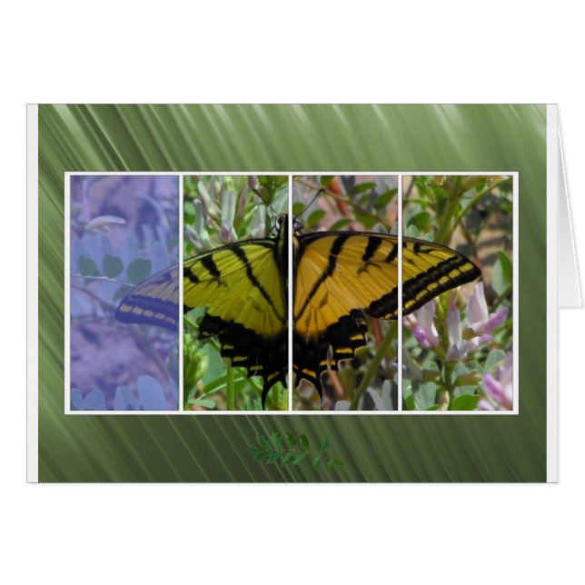 Mariposa multicolor (Anverso (Horizontal))