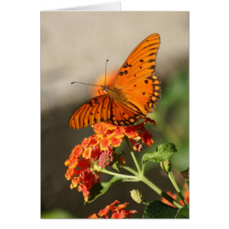 Mariposa naranja