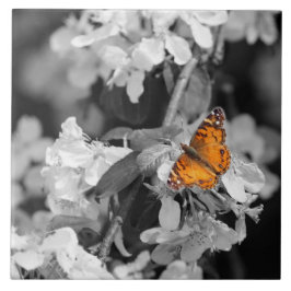 Mariposa naranja En Azulejos Cerámicos De Apple Bl