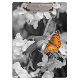 Mariposa naranja En El Portapapeles De Apple Bloss