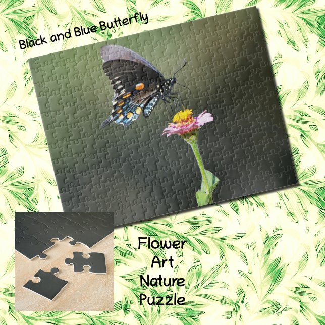 Mariposa negra y azul y rompecabezas de la natural (A black and blue Swallowtail butterfly on a Pink Zinnia flower as a fun puzzle.)