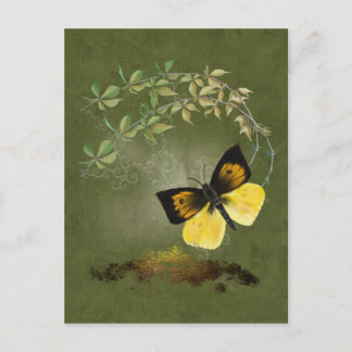 Mariposa pintada juguetona - postal