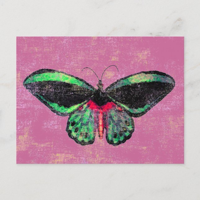 Mariposa ~ Postcard / Invitación (Anverso)