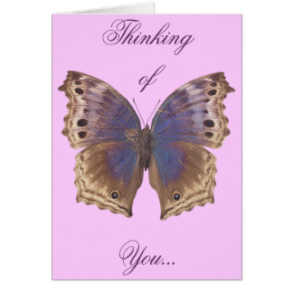 Mariposa púrpura magnífica