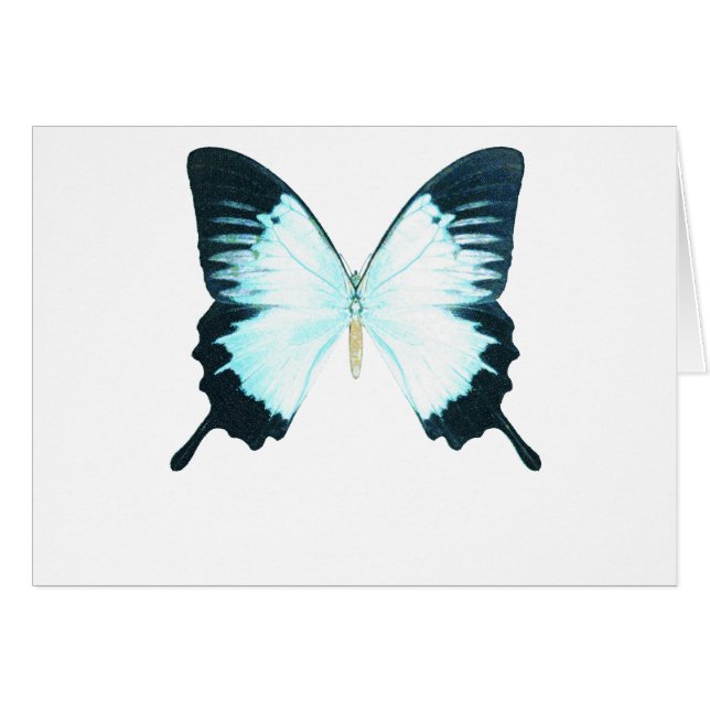 Mariposa real del pavo real (Anverso (Horizontal))