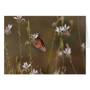 Mariposa Reina y algas de leche