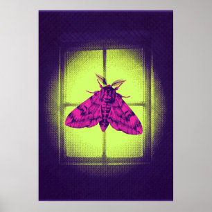 Mariposa rosa en ventana de lima luminosa arte pop