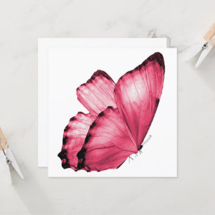 Mariposa rosa Notecard