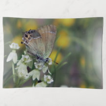 Mariposa saltadora en una flor
