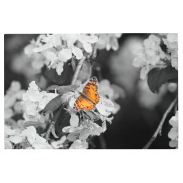Mariposa Señora Americana En Flor, Arte Metalizado
